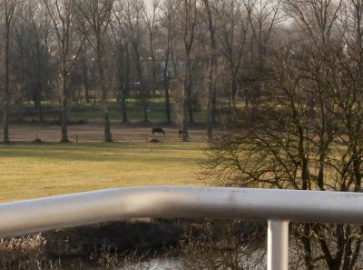 Ubytovani Podebrady Apartmany Resident A11 18