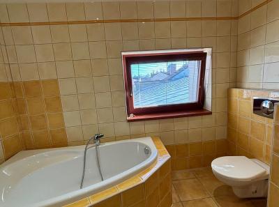 Ubytovani Podebrady Apartmany Resident A11 64